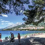 Amazing In Mijaca